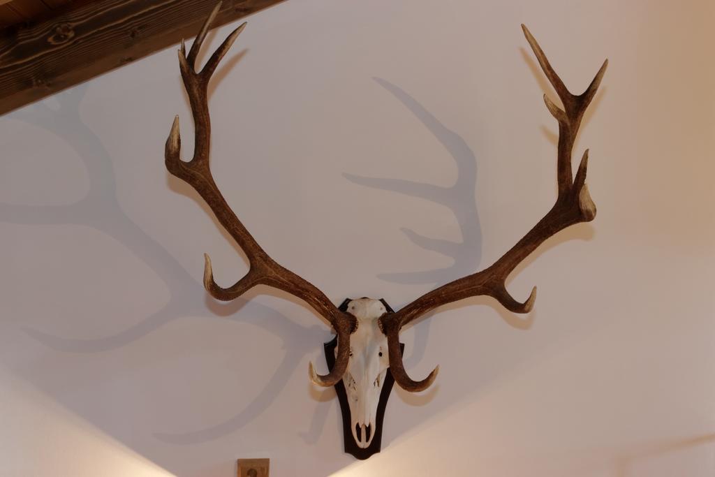 Ferienhaus Hirschkopf Mauth Kamer foto